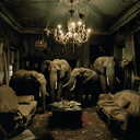 Elephants in a living room. Please don't crap on the rug